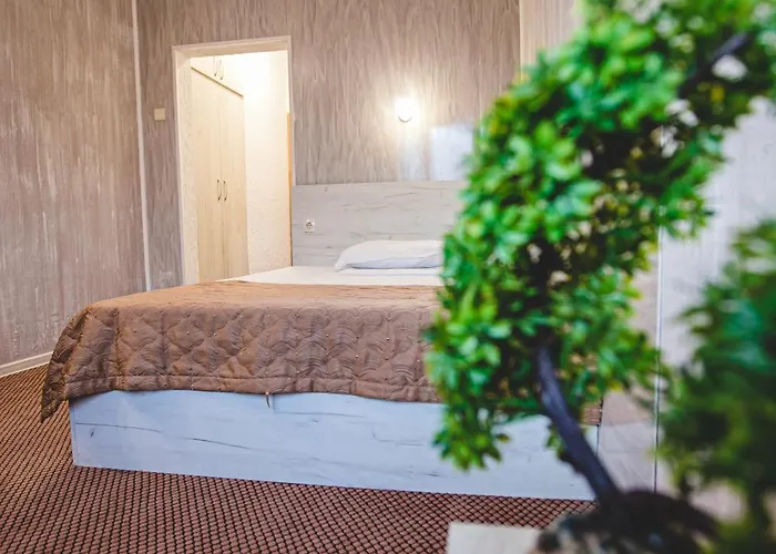 Rodopi Хасково