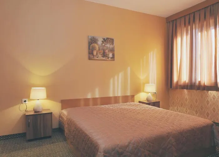 Rodopi Хотел 3*